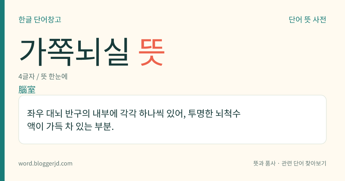 가쪽뇌실 뜻: 좌우 대뇌 반구의 내부에 각각 하나씩 있어, 투명한 뇌척수액이 가득 차 있는 부분.