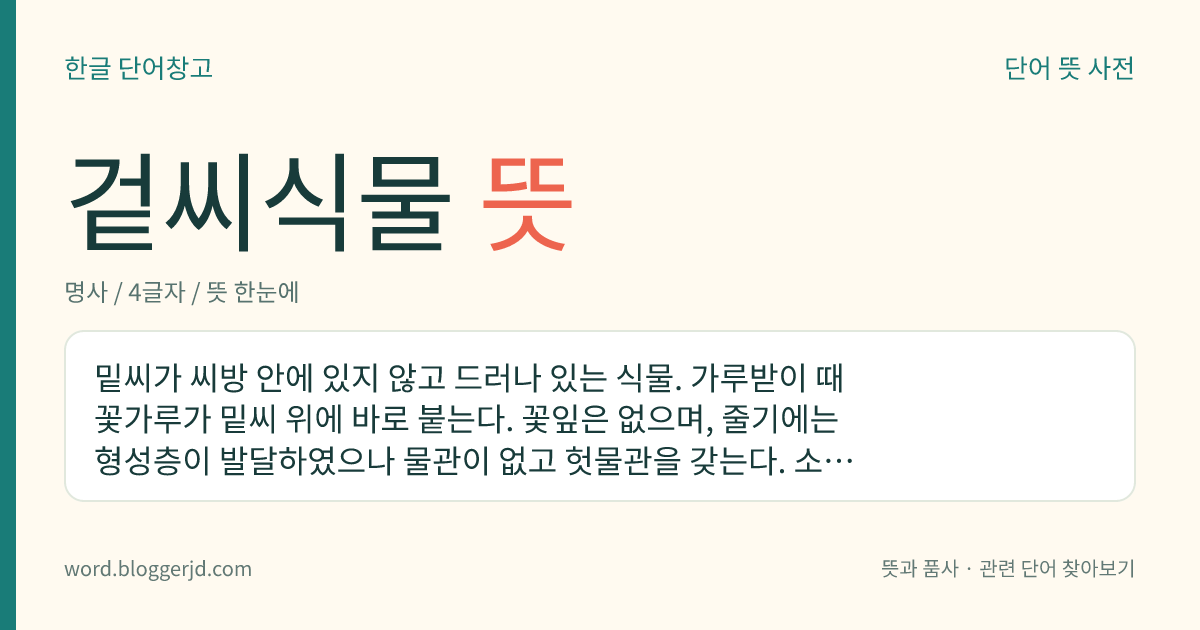 겉씨식물 뜻: 밑씨가 씨방 안에 있지 않고 드러나 있는 식물. 가루받이 때 꽃가루가 밑씨 위에 바로 붙는다. 꽃잎은 없으며, 줄기에는 형성층이 발달하였으나 물관이 없고 헛물관을 갖는다. 소나무, 소철, 잣나무, 전나무, 은행나무 따위가 있다.