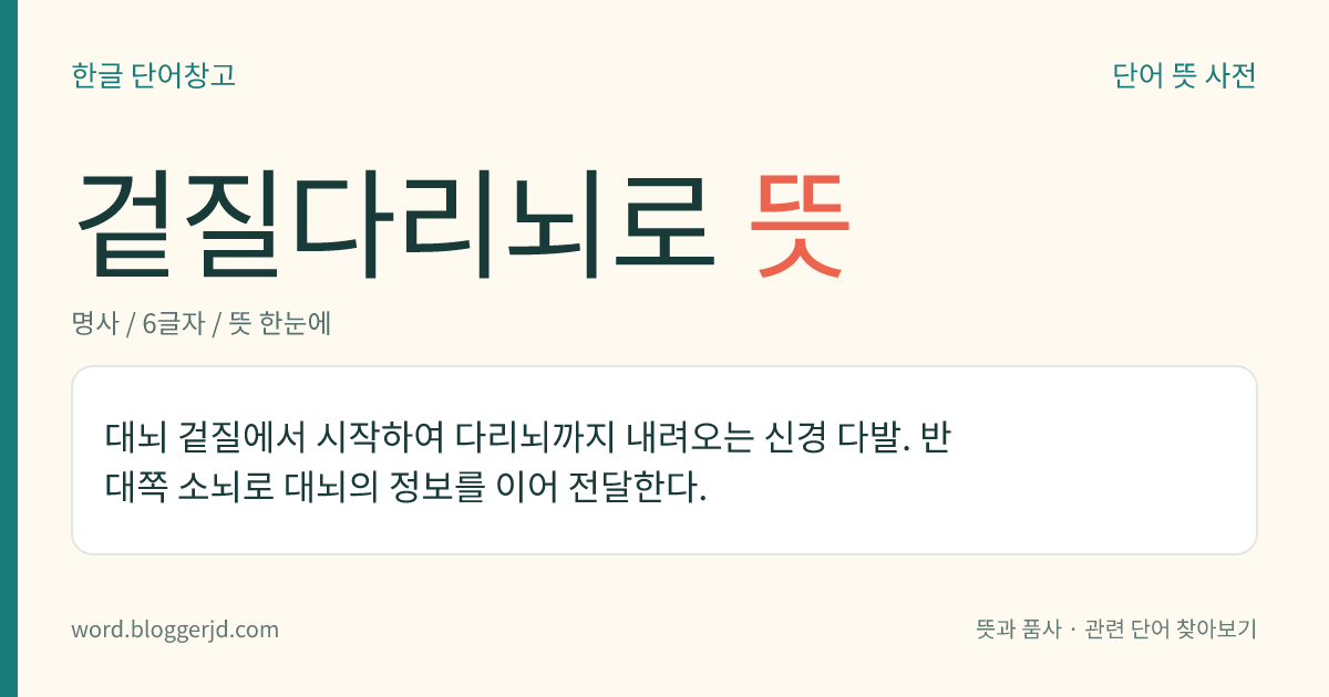 겉질다리뇌로 뜻: 대뇌 겉질에서 시작하여 다리뇌까지 내려오는 신경 다발. 반대쪽 소뇌로 대뇌의 정보를 이어 전달한다.
