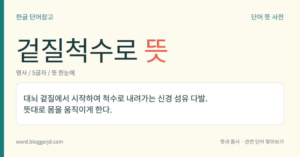 겉질척수로 뜻: 대뇌 겉질에서 시작하여 척수로 내려가는 신경 섬유 다발. 뜻대로 몸을 움직이게 한다.
