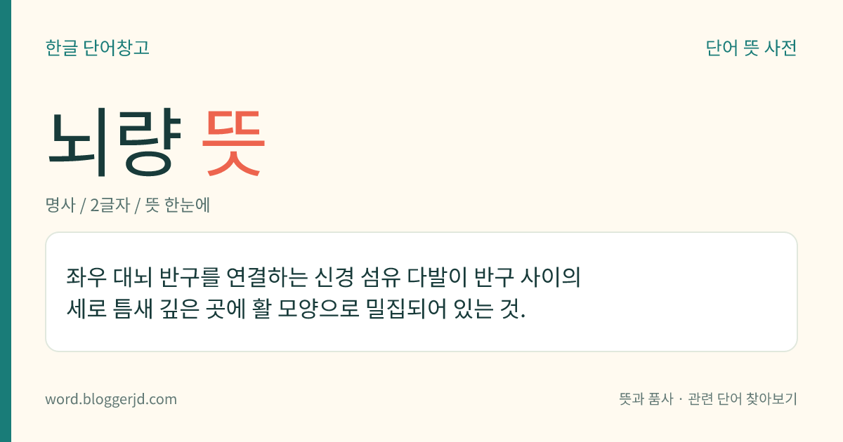 뇌량 뜻: 좌우 대뇌 반구를 연결하는 신경 섬유 다발이 반구 사이의 세로 틈새 깊은 곳에 활 모양으로 밀집되어 있는 것.