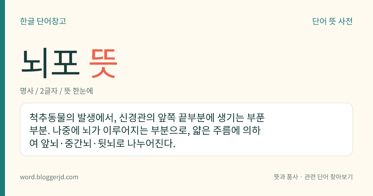 뇌포 뜻: 척추동물의 발생에서, 신경관의 앞쪽 끝부분에 생기는 부푼 부분. 나중에 뇌가 이루어지는 부분으로, 얇은 주름에 의하여 앞뇌·중간뇌·뒷뇌로 나누어진다.