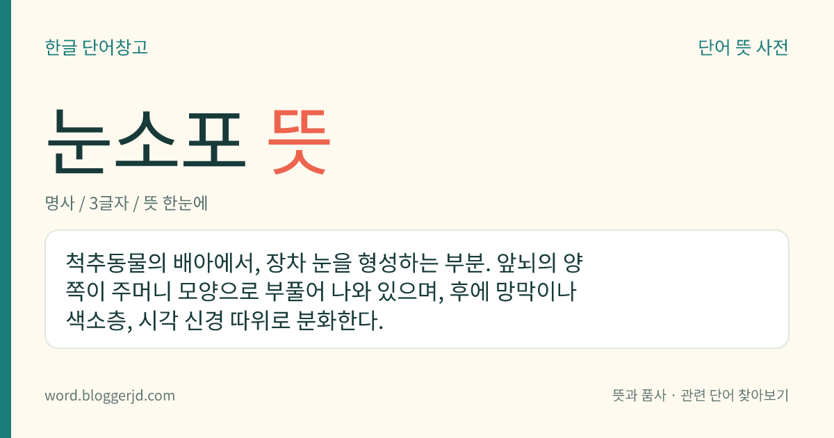 눈소포 뜻: 척추동물의 배아에서, 장차 눈을 형성하는 부분. 앞뇌의 양쪽이 주머니 모양으로 부풀어 나와 있으며, 후에 망막이나 색소층, 시각 신경 따위로 분화한다.