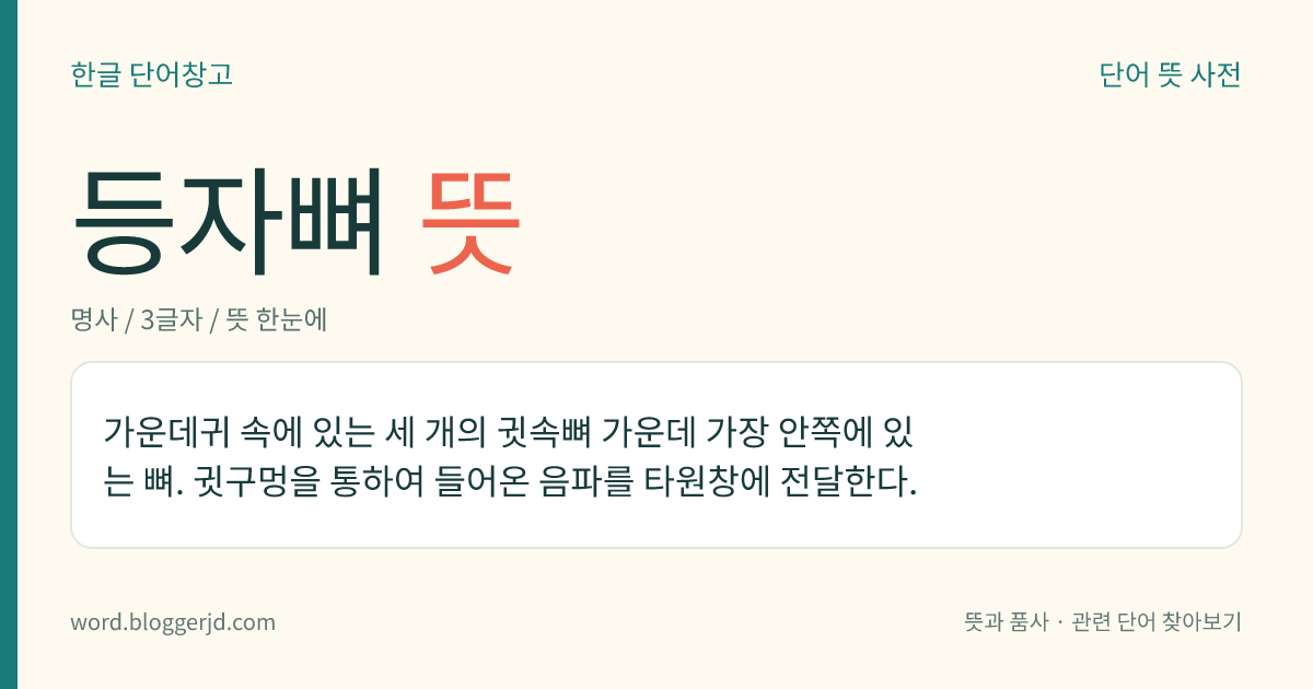 등자뼈 뜻: 가운데귀 속에 있는 세 개의 귓속뼈 가운데 가장 안쪽에 있는 뼈. 귓구멍을 통하여 들어온 음파를 타원창에 전달한다.