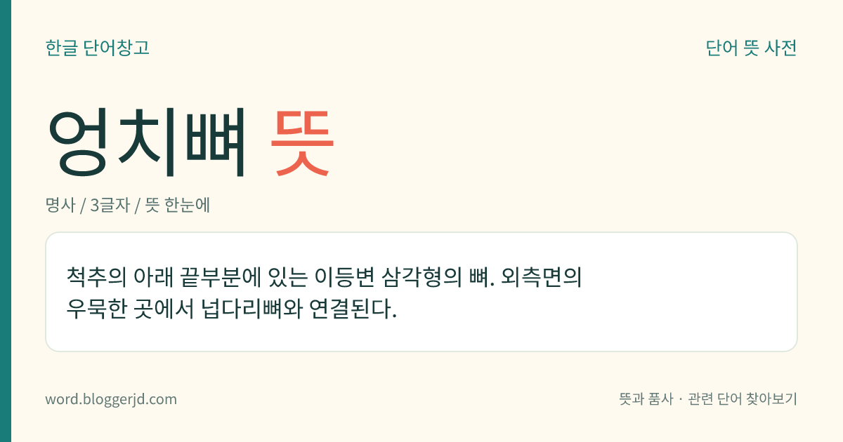엉치뼈 뜻: 척추의 아래 끝부분에 있는 이등변 삼각형의 뼈. 외측면의 우묵한 곳에서 넙다리뼈와 연결된다.